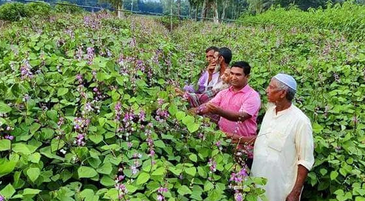 ধনবাড়ীতে মাঠে মাঠে চাষ হচ্ছে আগাম শীতের সবজি