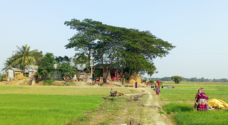 ফরিদপুরে একটি বাড়ি একটি গ্রাম