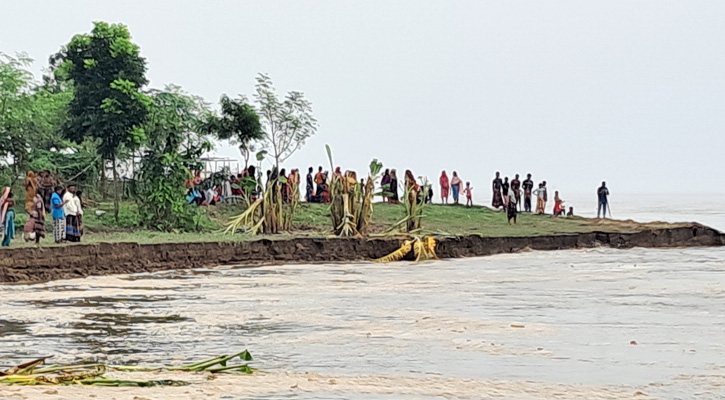 নদীভাঙনে দিশেহারা পদ্মা পাড়ের মানুষ