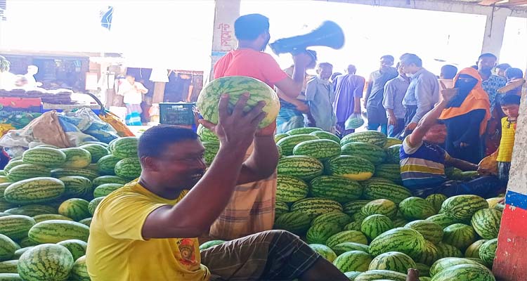 কাউখালীতে মাইকিং করে তরমুজ বিক্রি হচ্ছে