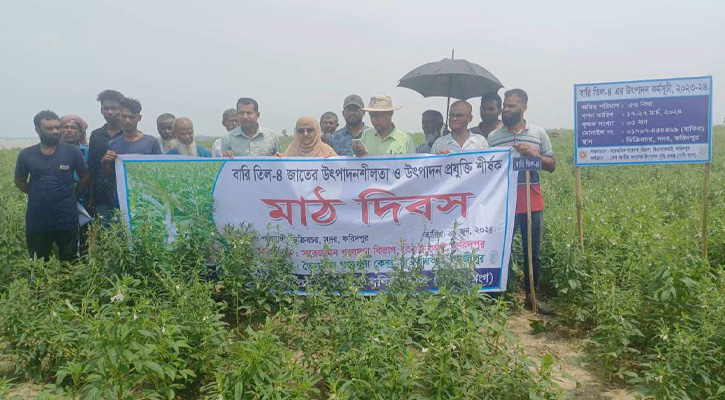 ফরিদপুরে বারি তিল-৪ ও বারি চিনাবাদাম-৮  জাতের ওপর মাঠ দিবস