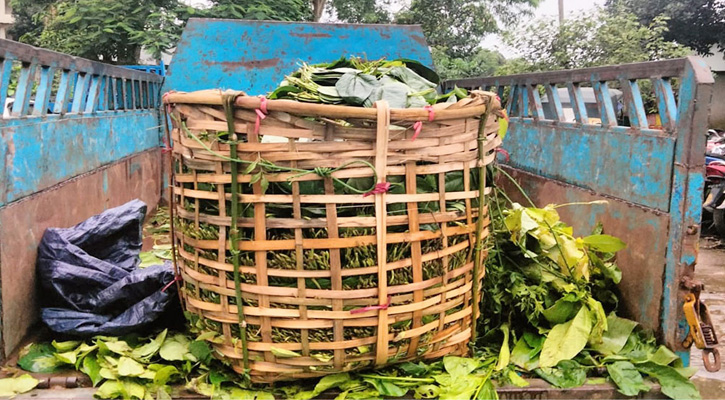 পানবোঝাই পিকআপ থেকে ইয়াবা উদ্ধার, আটক চালক