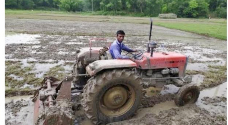 চট্টগ্রামে  আমন চারা তৈরিতে ব্যস্ত কৃষক