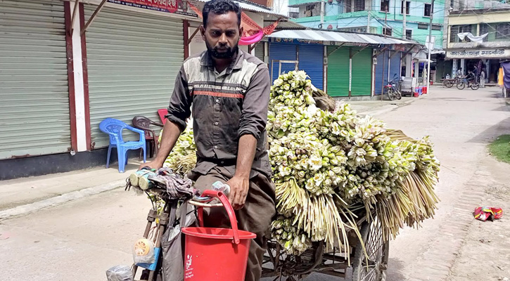 বাজারে মৌসুমি সবজি হিসেবে বিক্রি হচ্ছে শাপলা ফুল