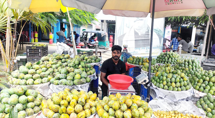 ভাঙ্গুড়ায় আম বিক্রি করতে না পারায় লোকসানের মুখে ব্যবসায়ীরা