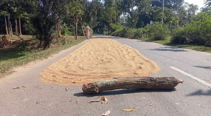 সড়কে ধান শুকানো যান চলাচলে বিঘ্ন