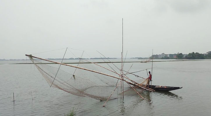 বিলুপ্তির পথে মুক্ত জলাশয়ের দেশী মাছ, পেশা পাল্টাচ্ছে জলেরা