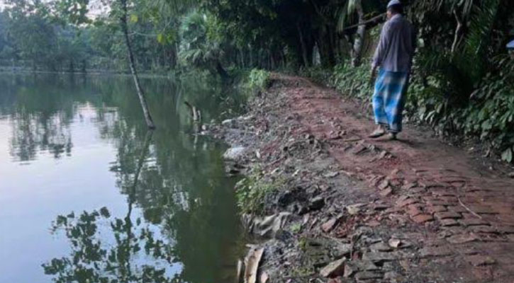 ফরিদগঞ্জে মাছের ঘেরে বিলীন সড়ক