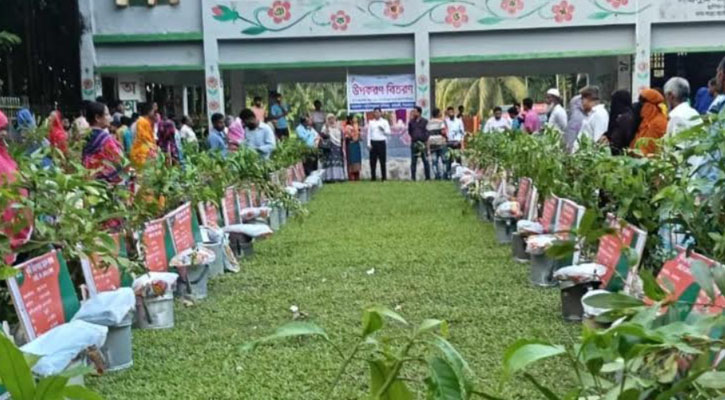 কাউখালীতে ৭৮টি পরিবারের মাঝে কৃষি উপকরণ বিতরণ