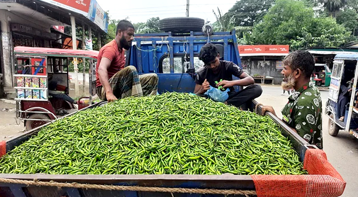 ফের কাঁচা মরিচের কেজি ৫৫০ টাকা