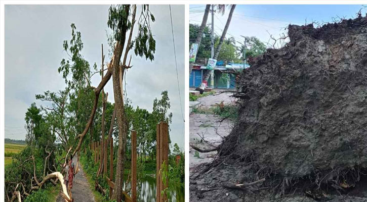 নাসিরনগরে ঝড়ে ৪০ বাড়িঘর ক্ষতিগ্রস্ত, বিদ্যুৎ বিপর্যয়