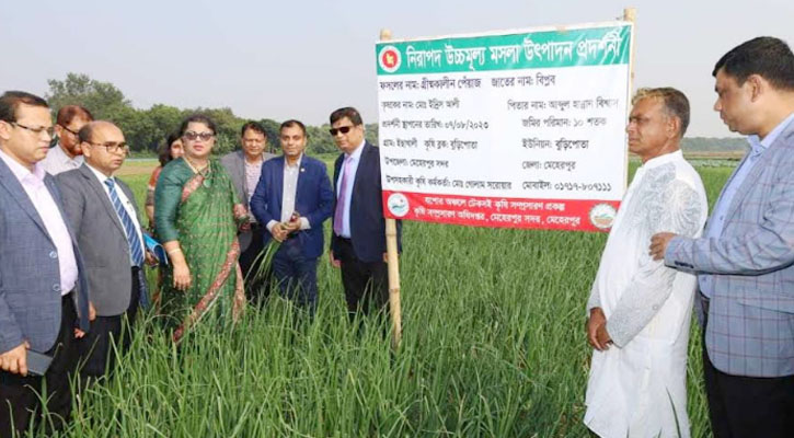 গ্রীষ্মকালীন পেঁয়াজ উৎপাদনে প্রণোদনা বাড়ানো হবে- কৃষিসচিব