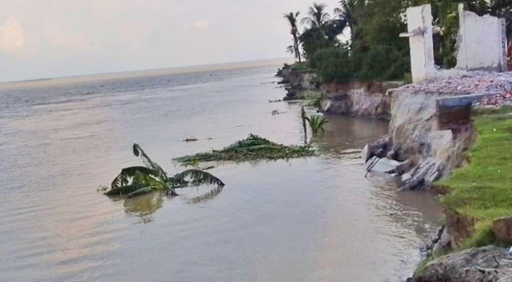 থামছেই না পদ্মার ভাঙ্গন, ঘর-বাড়ি-মসজিদসহ গিলে খাচ্ছে অসংখ্য স্থাপনা