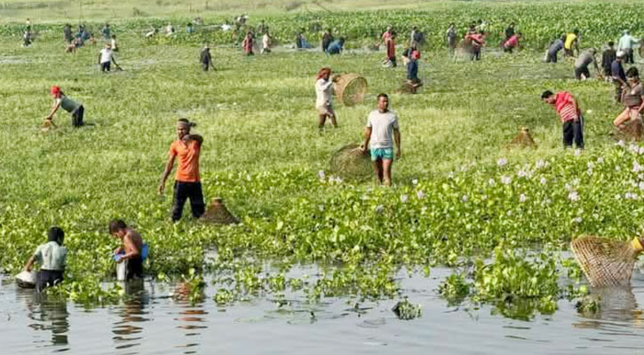 ফরিদপুরে ঐতিহ্যবাহী পলোবাইচে হাজারো মানুষের ঢল